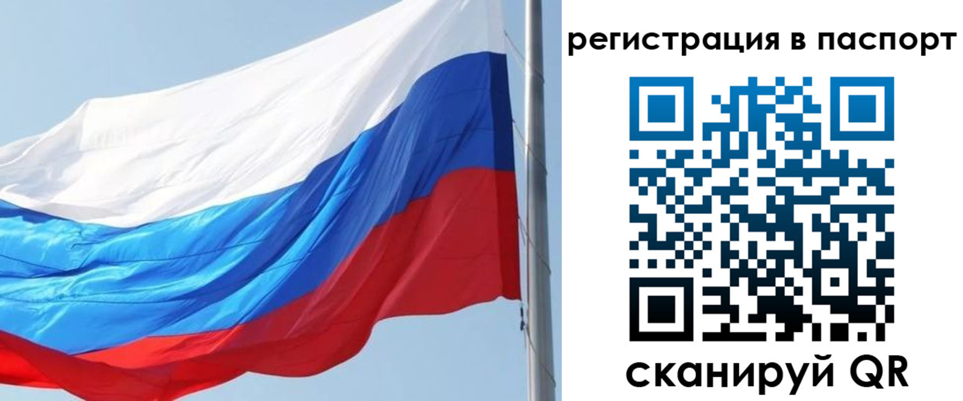прописка законно в Хвалынске